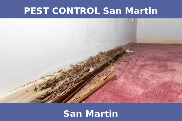 PEST CONTROL San Martin